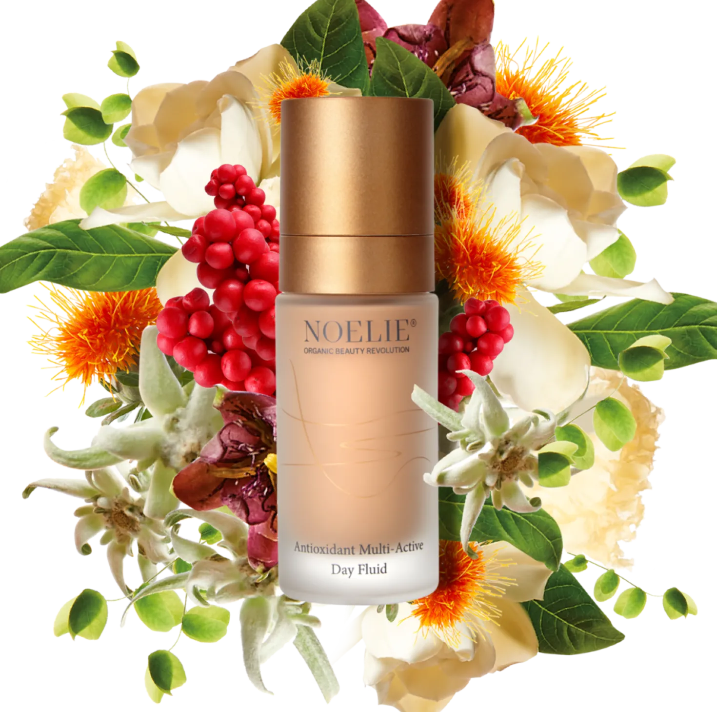 Antioxidant Multi-Active Day Fluid, 30 ml
