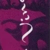 Bastoncini di Incenso Muster Set, 10 pezzi
