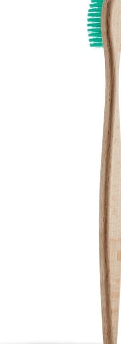 Beechwood Toothbrush