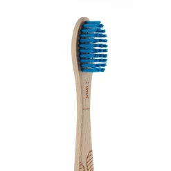 Beechwood Toothbrush Firm