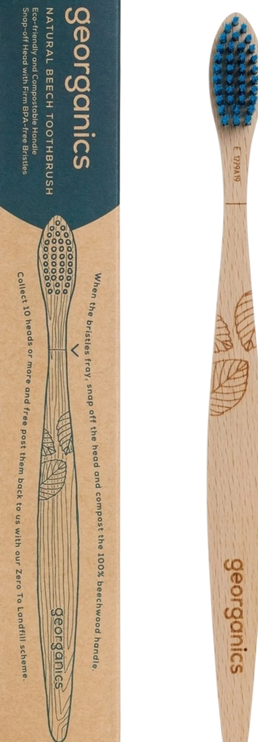 Beechwood Toothbrush Firm