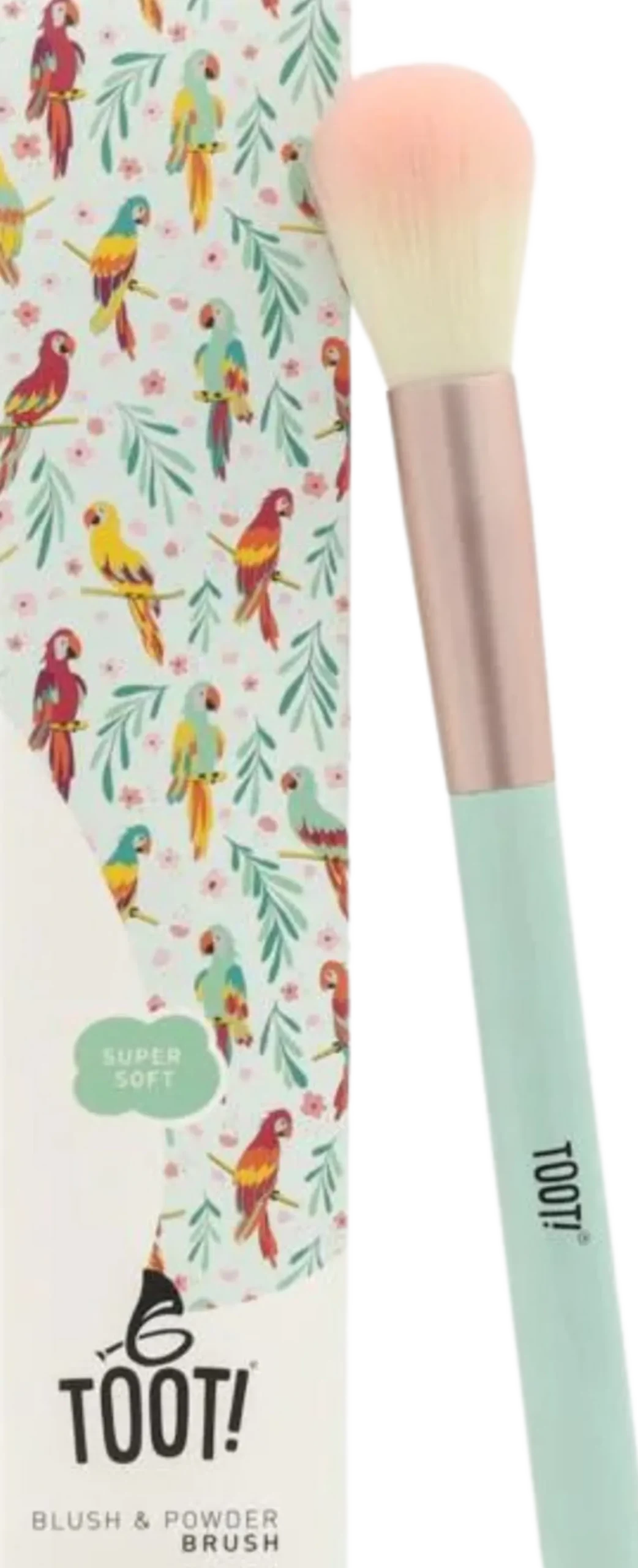 Blush & Powder Brush
