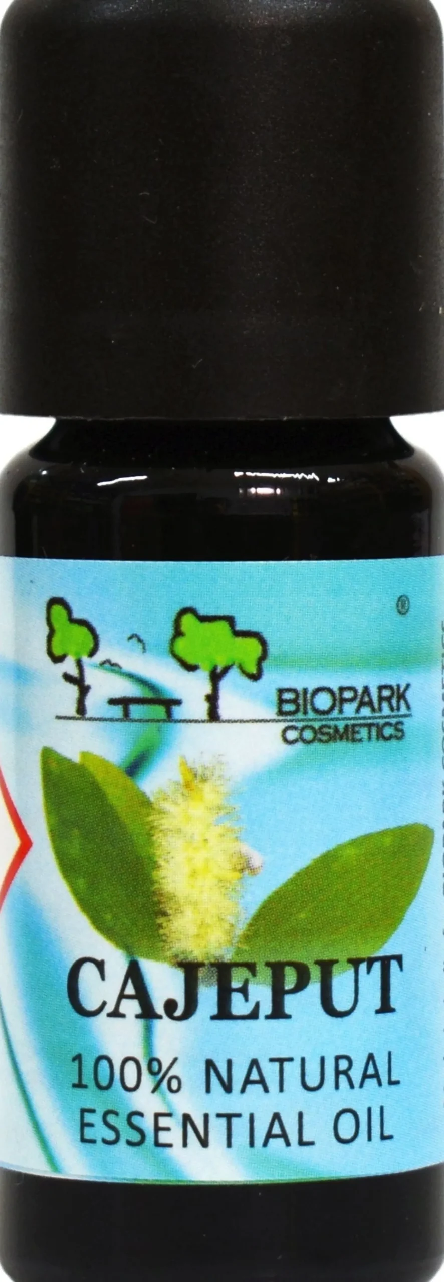 Cajeput Essential Oil, 10 ml