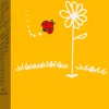 Calendula - Crema Viso, 50 ml