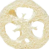 Disco di Luffa