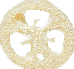 Disco di Luffa