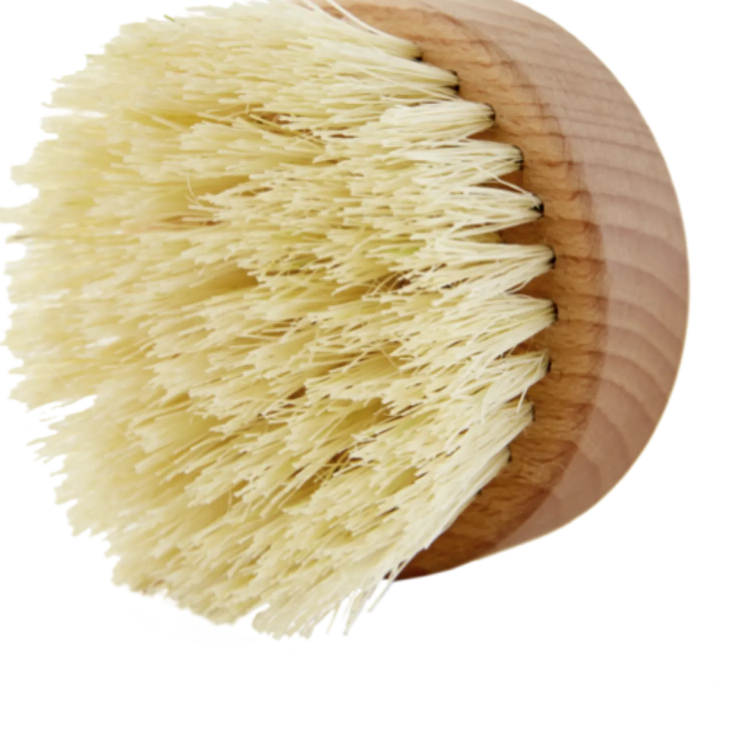 Dry Massage Brush
