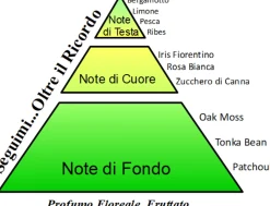 Eau de Parfum Spray Antiox "Seguimi Oltre il Ricordo", 15 ml