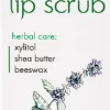 Exfoliating Peppermint Lip Balm, 4,60 g