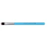 Eyeshadow Brush Colour Edition