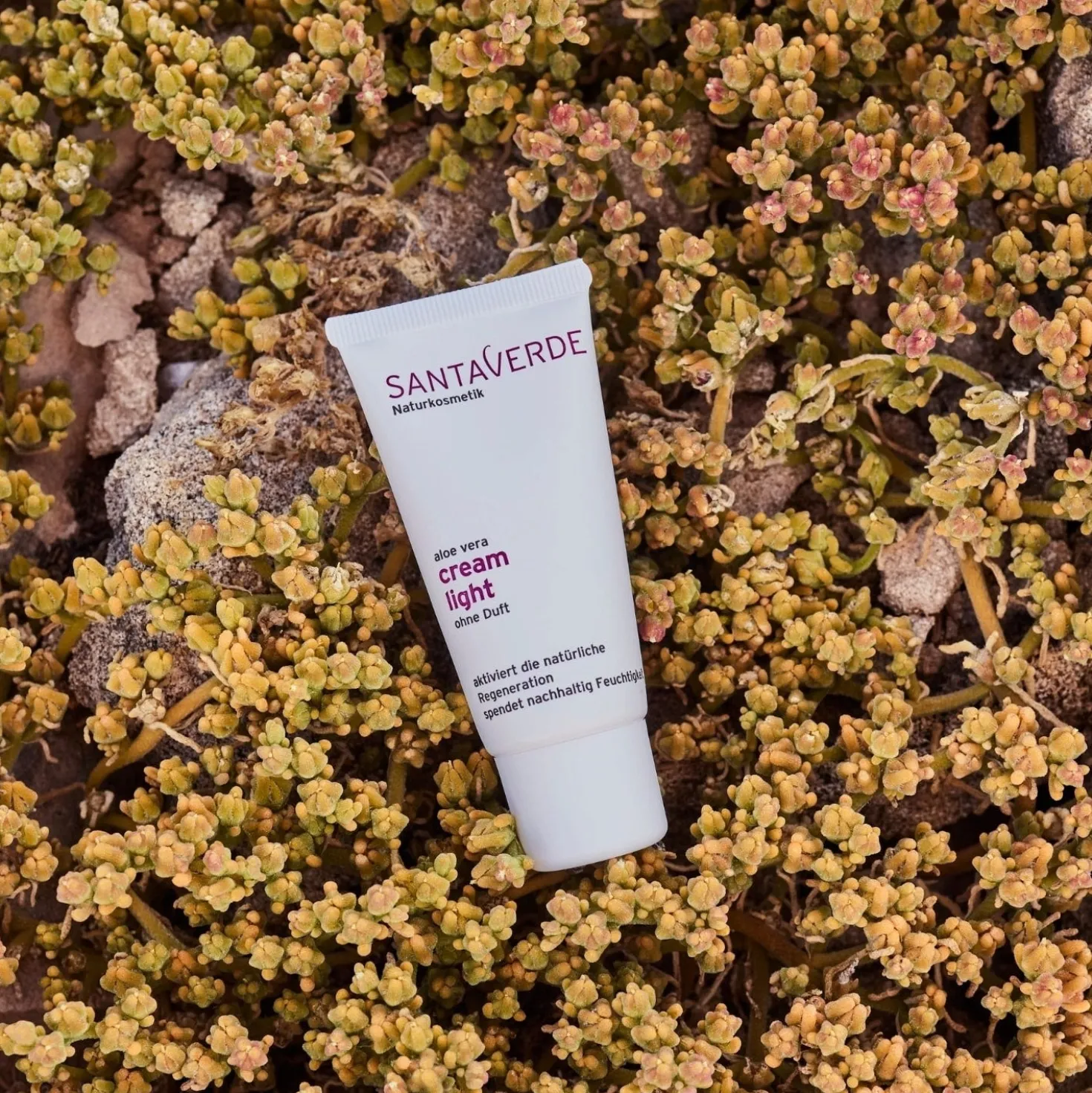 FACE CARE cream light fragrance-free, 30 ml