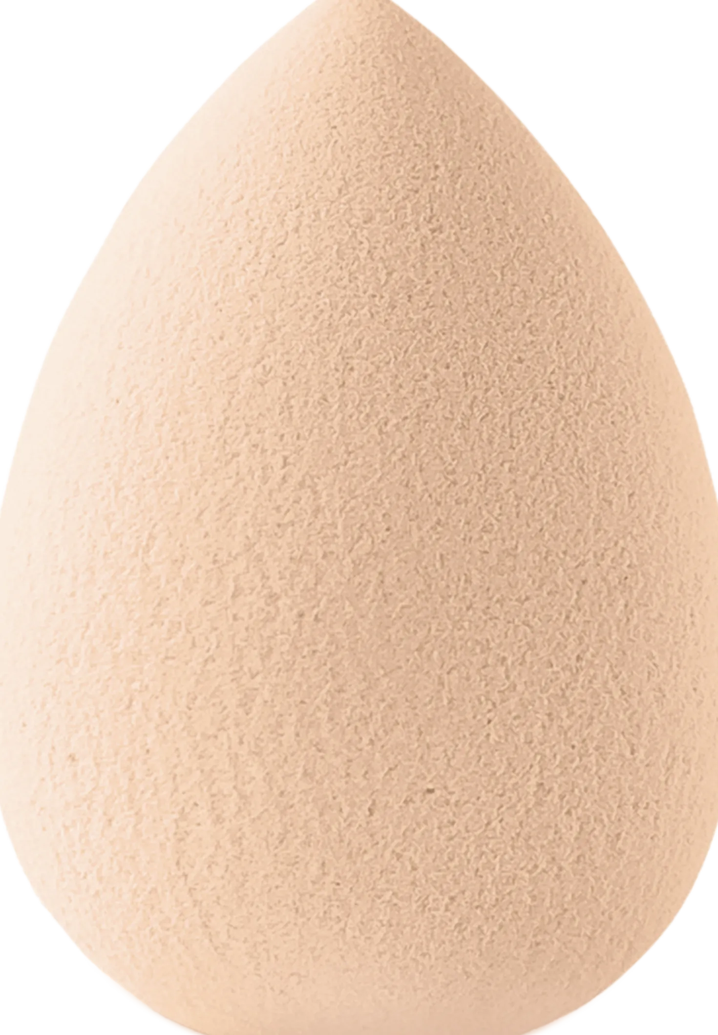 Foundation Sponge