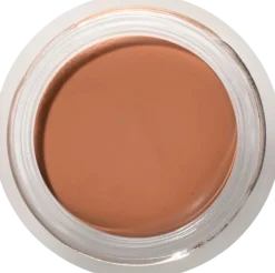 Fruit Pigments Long Last Concealer + Super Fruits, 5 g