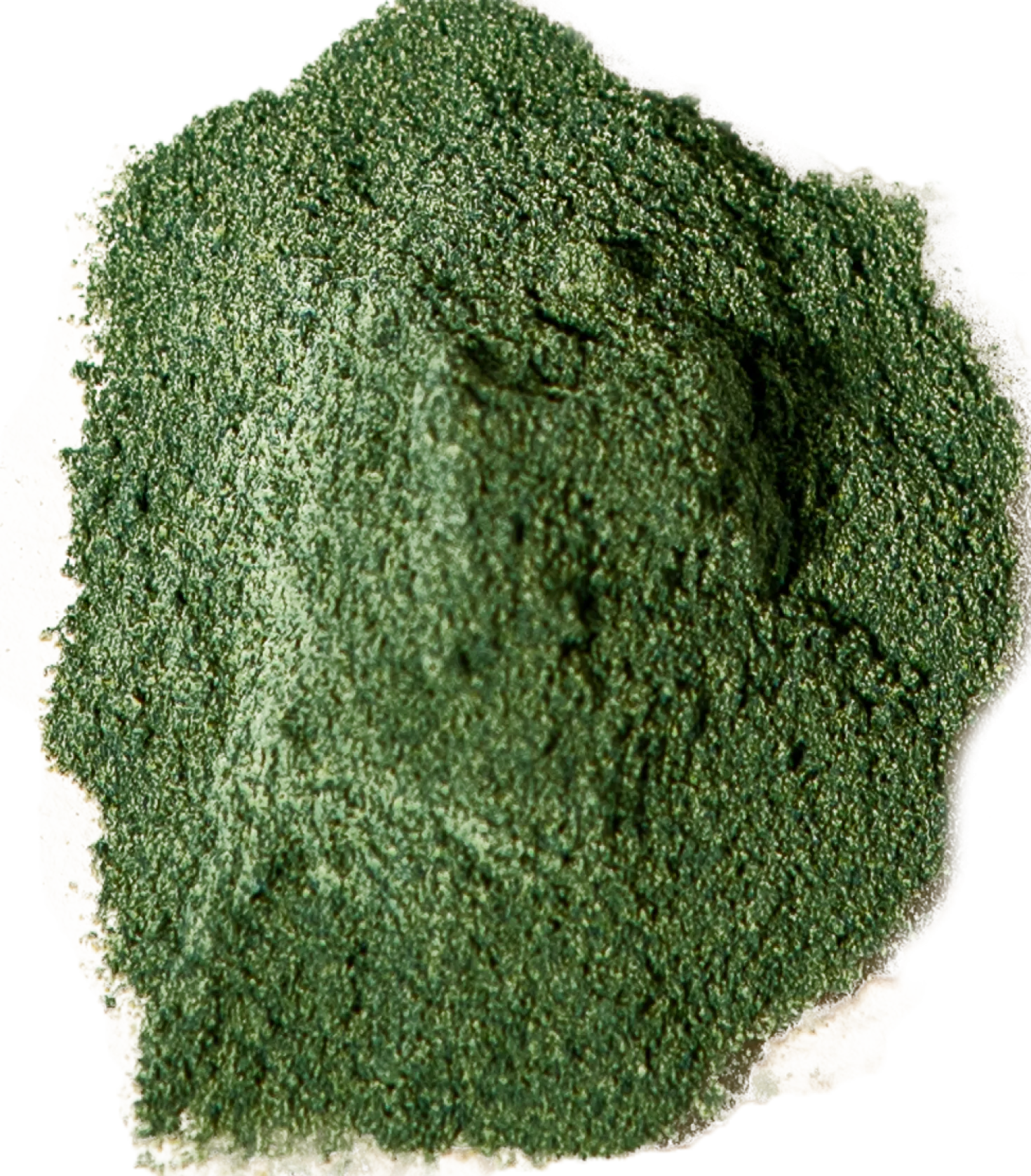 Functional Matcha Complex, 100 g