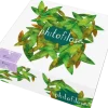 Gift Box Ricci