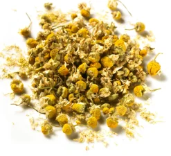 Infuso 