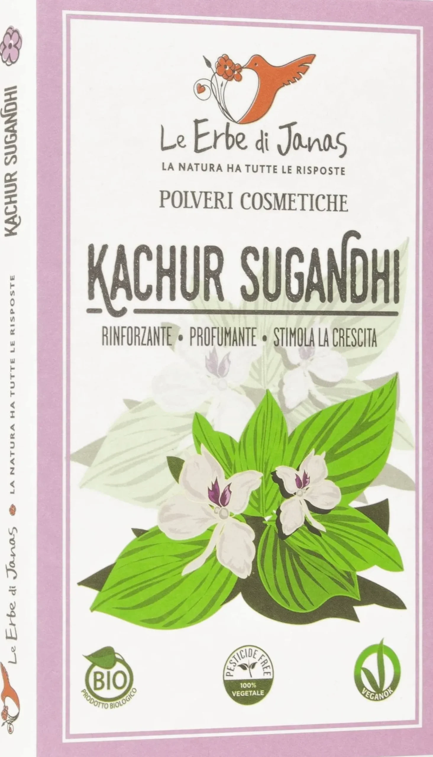 Kachur Sugandhi (Zenzero Aromatico), 100 g