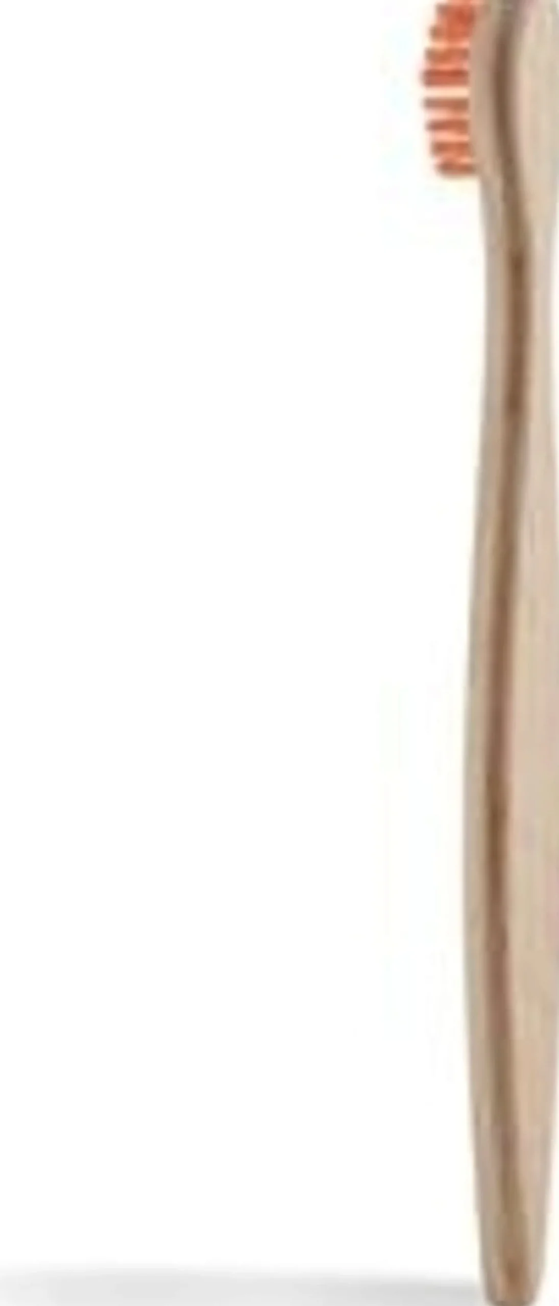Kids Beechwood Toothbrush