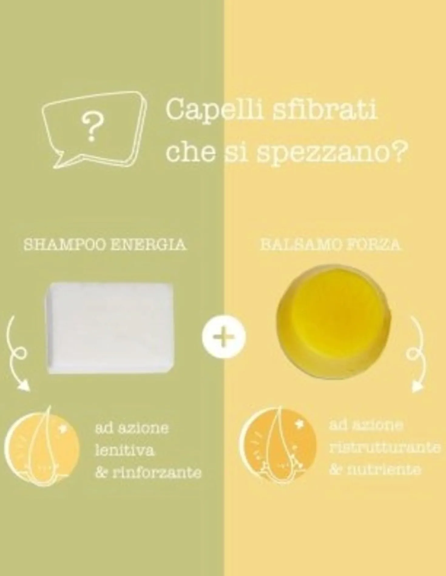 Kit Shampoo e Balsamo Solidi per Capelli Secchi o Trattati, 90 g