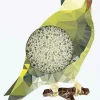 Konjac Mini Pore Refiner Woodland Woodpecker with Green Clay