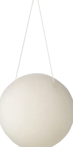 Konjac Sponge