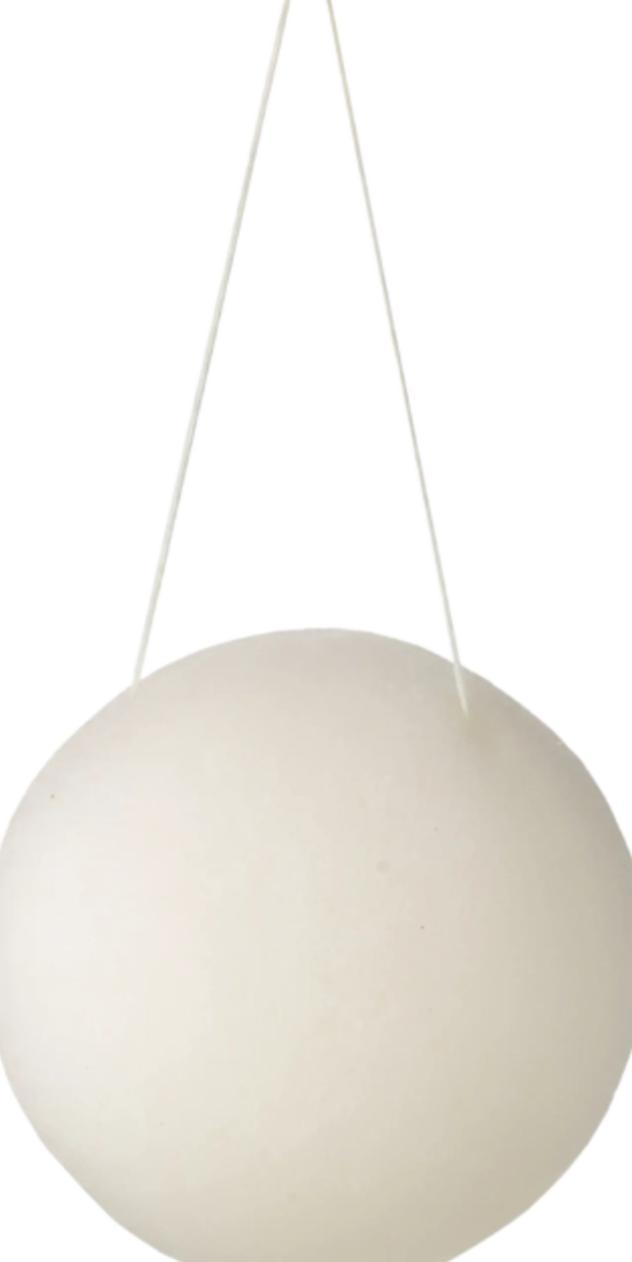 Konjac Sponge