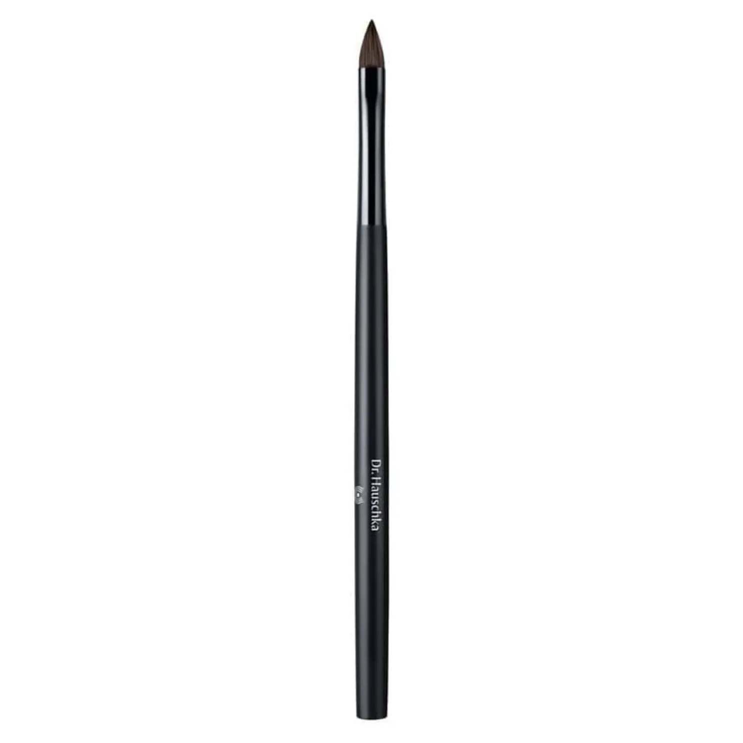 Lip Brush
