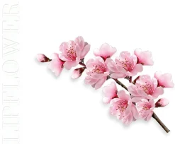 Lip Flower Fiore di Pesca Nr. 182, 3,60 g