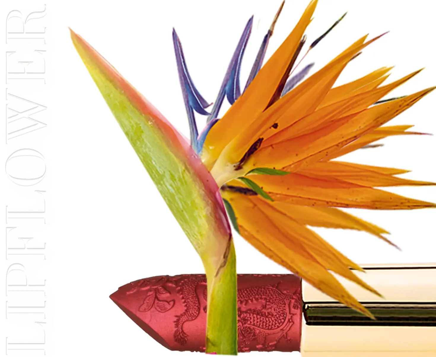 Lip Flower Strelitzia Nr. 195, 3,60 g