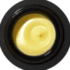 Multi-Vitamin + Antioxidants Ultra Riché PM Treatment, 42,50 g