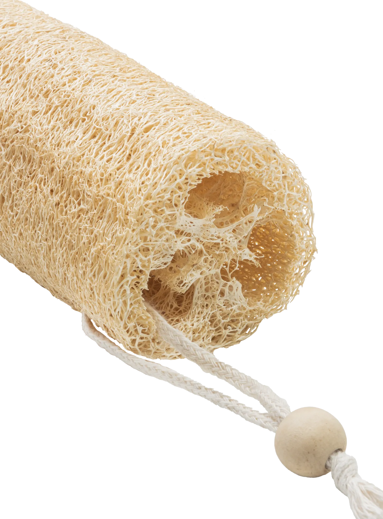 Nature - Spugna in Luffa
