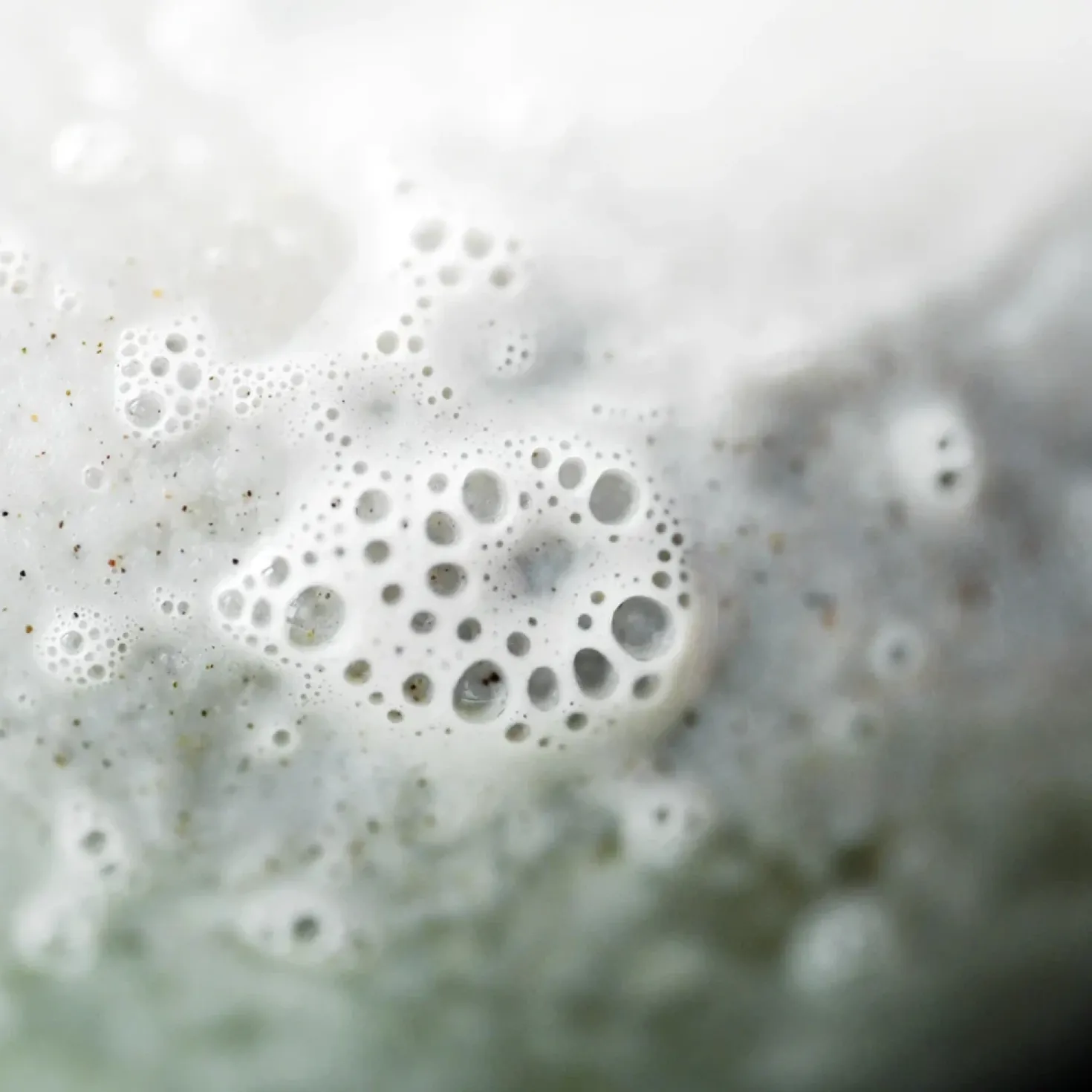 Oily Hair Solid Shampoo, 80 ml