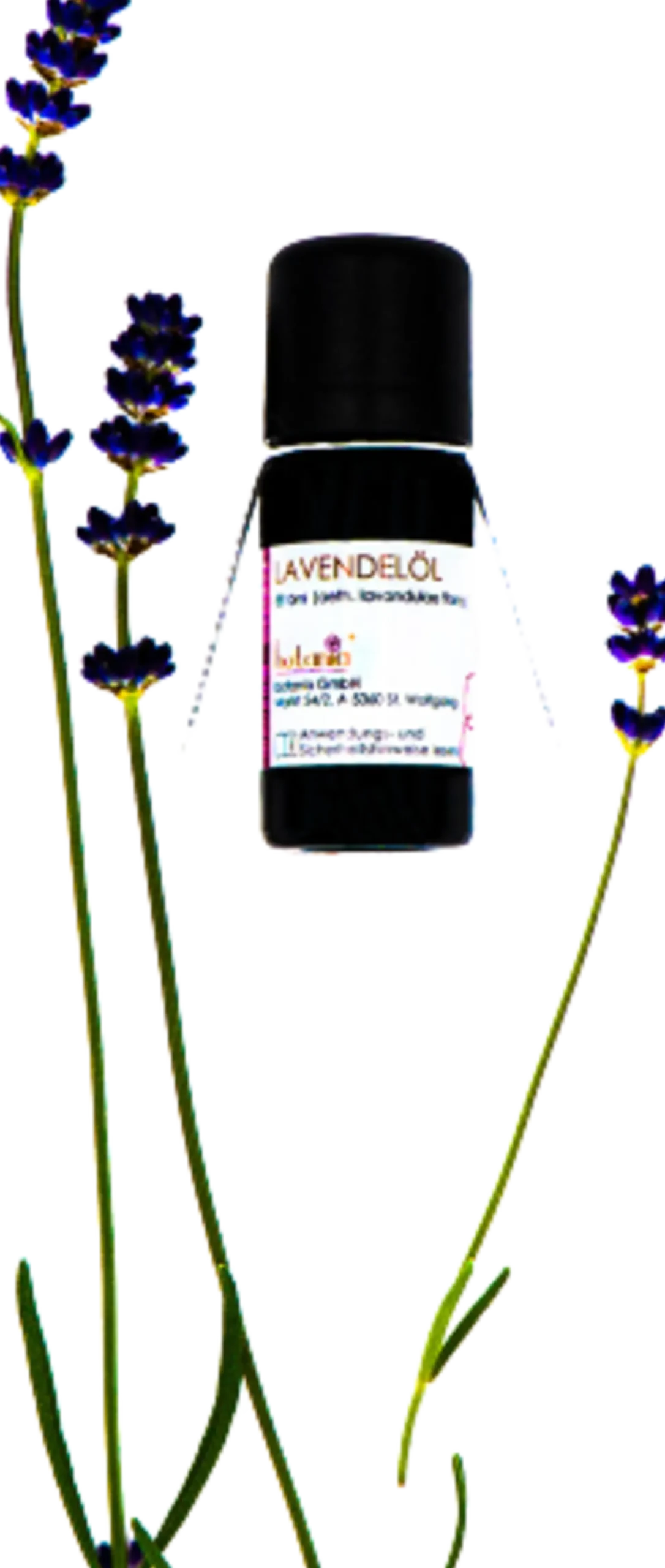 Olio Essenziale di Lavanda Premium, 10 ml