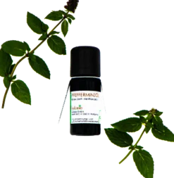 Olio Essenziale di Menta Piperita Premium, 10 ml