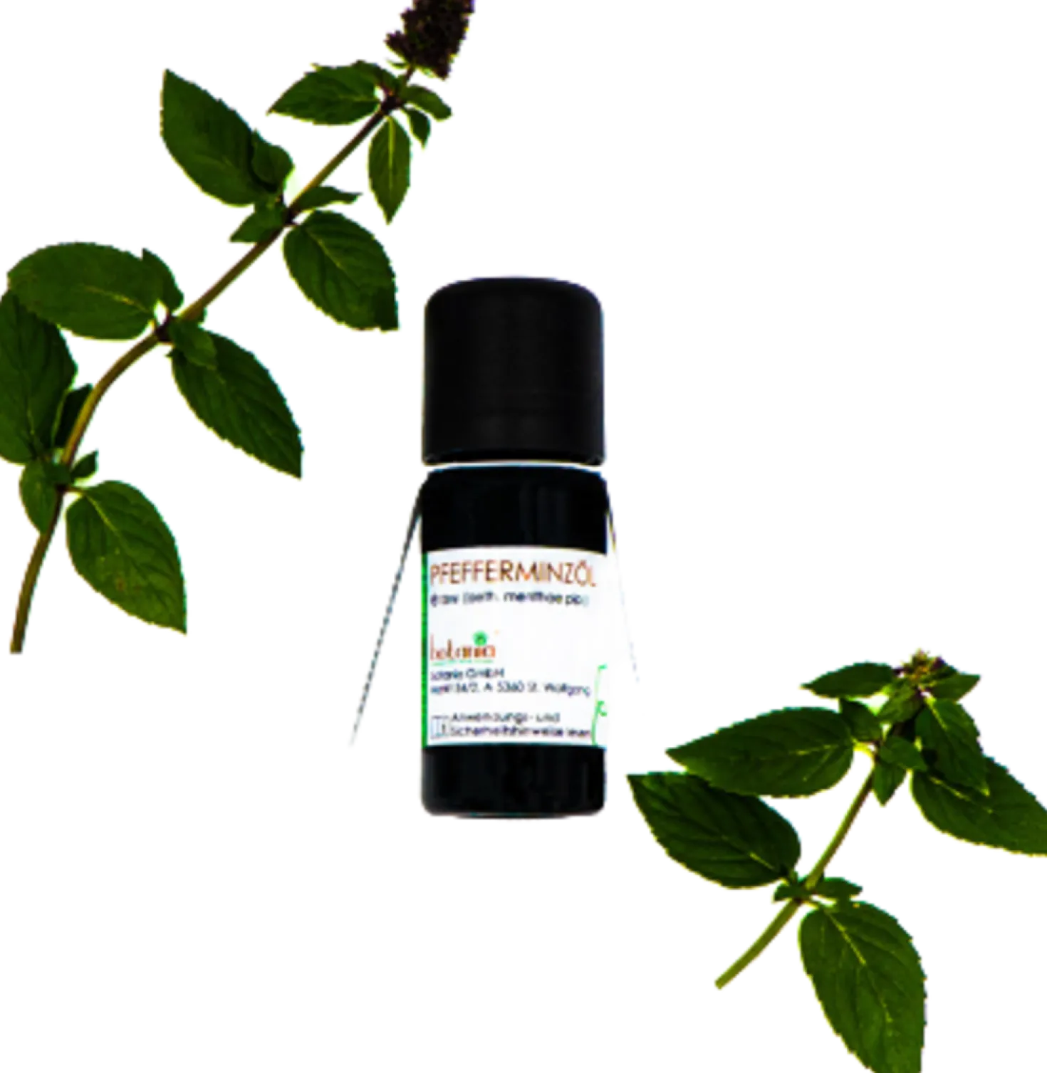 Olio Essenziale di Menta Piperita Premium, 10 ml