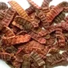Organic Shikakai, 100 g
