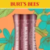 "Petal Kisses" Lip Shimmer Trio Set