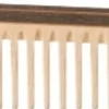 Pettine per lo Styling, 1 Pz.