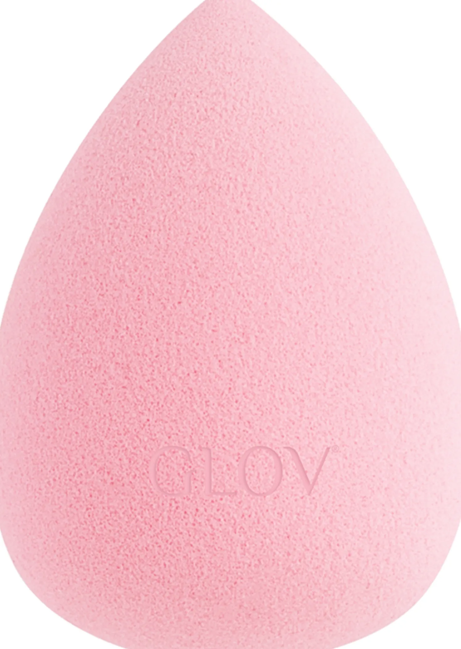 Picture Perfect Makeup Blender