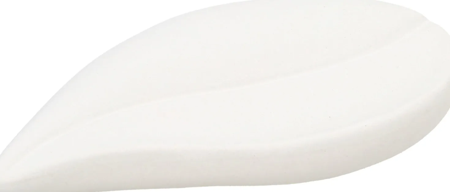 Pietra Aromatica a Forma di Foglia