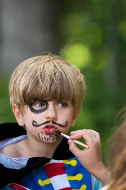 Pirate & Ladybird Face Painting Kit