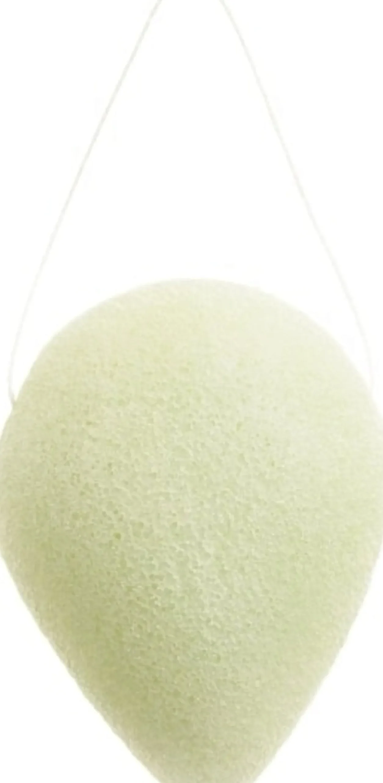 Éponge Merveilleuse Konjac Face Sponge Aloe Vera