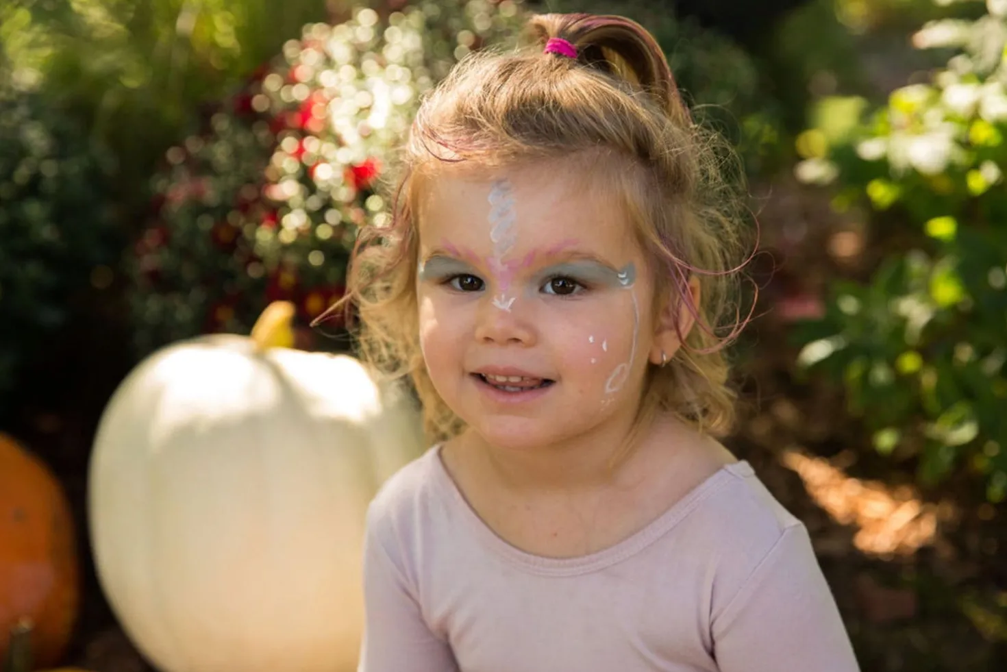 Princess & Unicorn Face Painting Kit