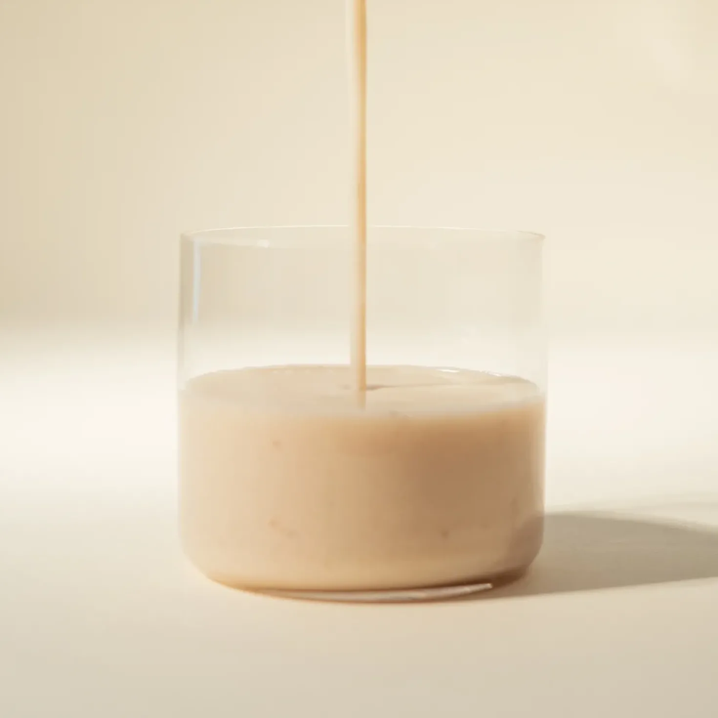 Protein Synbiotic, 450 g