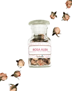 Rosa Alba Premium, 60 ml
