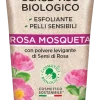 Rosa Mosqueta Scrub Viso Biologico Esfoliante, 75 ml