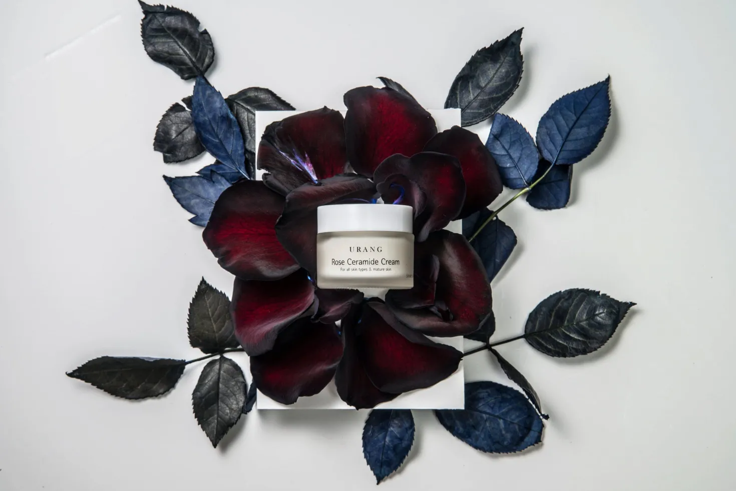 Rose Ceramide Cream, 50 ml