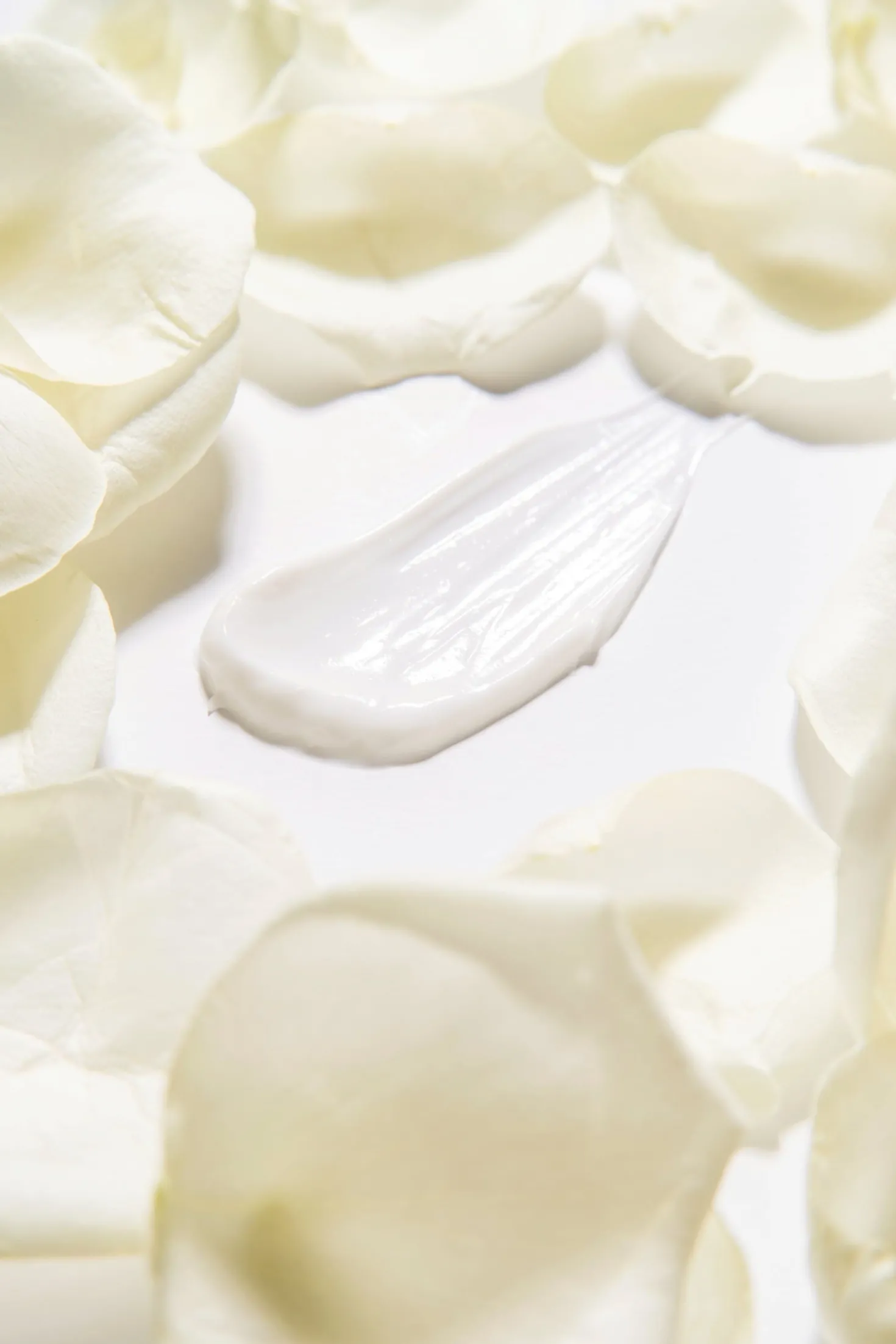 Rose Ceramide Cream, 50 ml