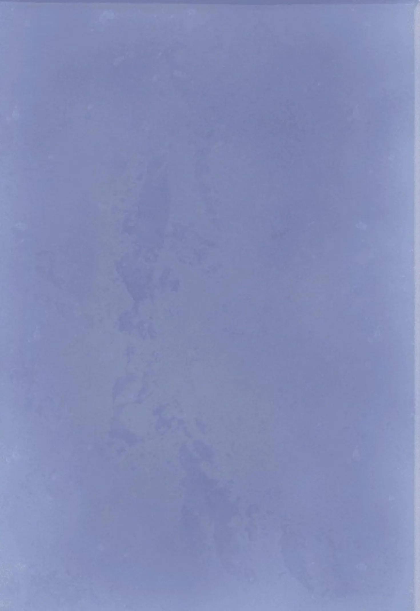 Saponetta alla Lavanda, 100 g