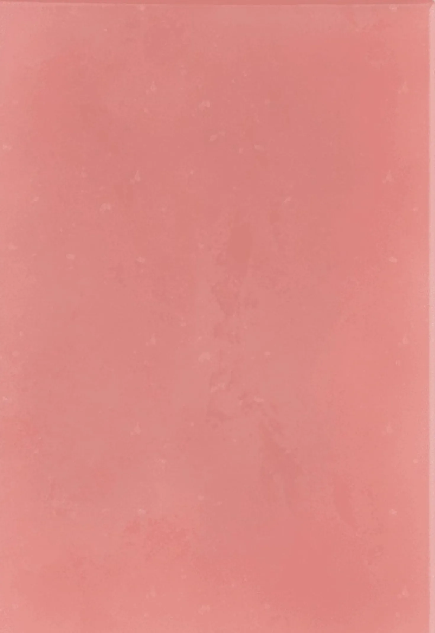 Saponetta alla Rosa, 100 g